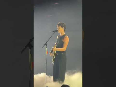 Lee más sobre el artículo SHAWN MENDES habla en español en su concierto de Madrid 😍😍