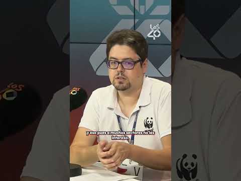 Lee más sobre el artículo Desde WWF hablan alto y claro sobre el cambio climático | LOS40